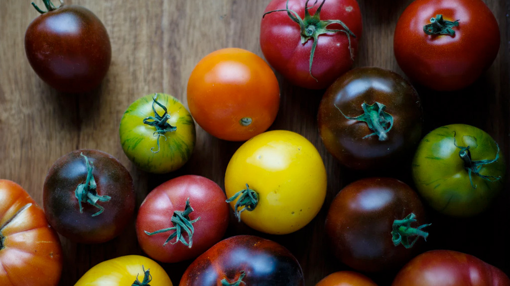 Tomatenbilder: Entdecke die Vielfalt der Tomatenwelt!